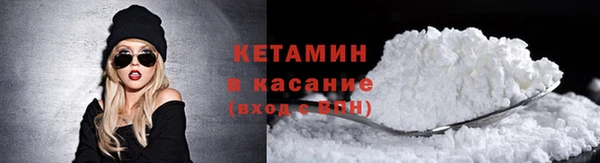 индика Бородино