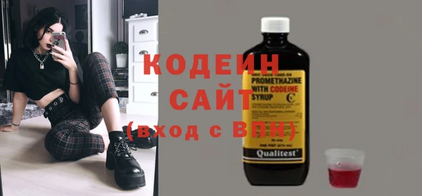 индика Бородино