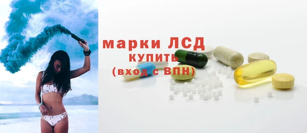 индика Бородино
