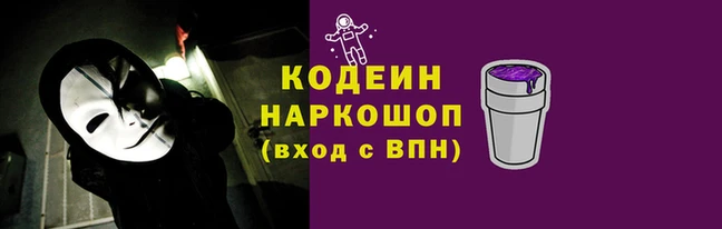 индика Бородино