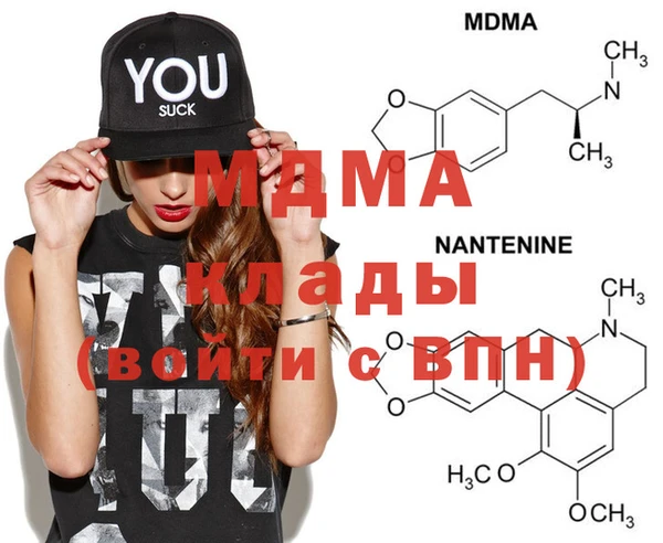 индика Бородино